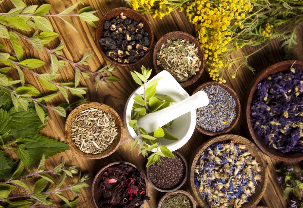Straight to the Source Part 1: Reuniting with Herbal and Plant Therapy